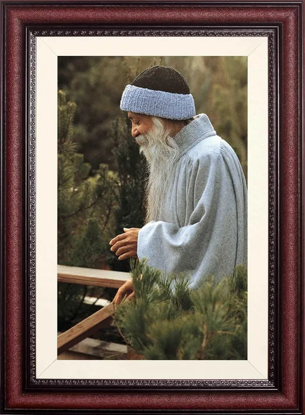 Acharya_Rajneesh_Osho_Reflective_Outdoor_Moment_Without_Glass_|_Pause_Along_the_Way_Frame