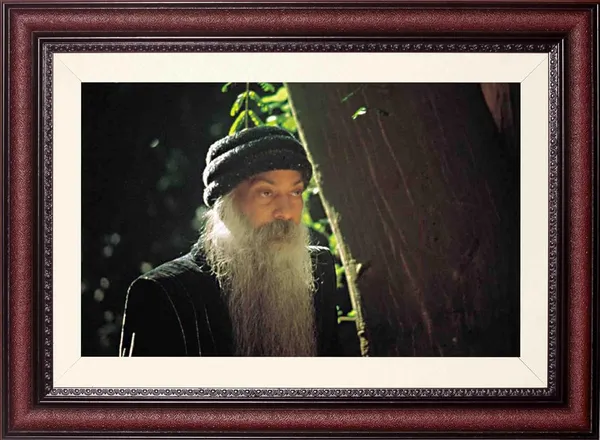 Acharya_Rajneesh_Osho_Sunlit_Rain_Portrait_Photo_Frame_Without_Glass_|_Nature's_Quiet_Blessing