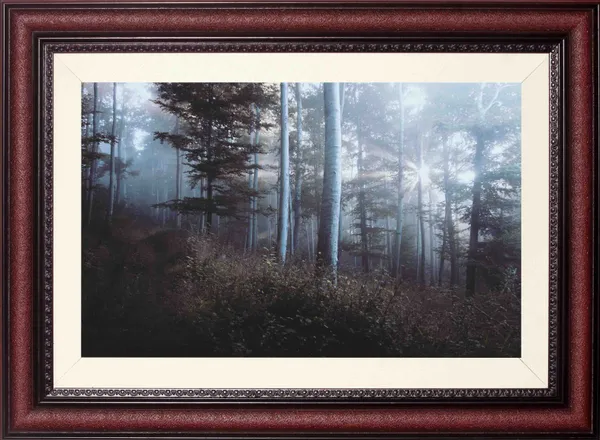 Forest_Wall_Art_Foggy_Pine_Landscape_Photo_Frame_Without_Glass