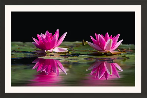 Lucky_Lotus_Flower_Wall_Hanging_Framed_Photo_Without_Glass
