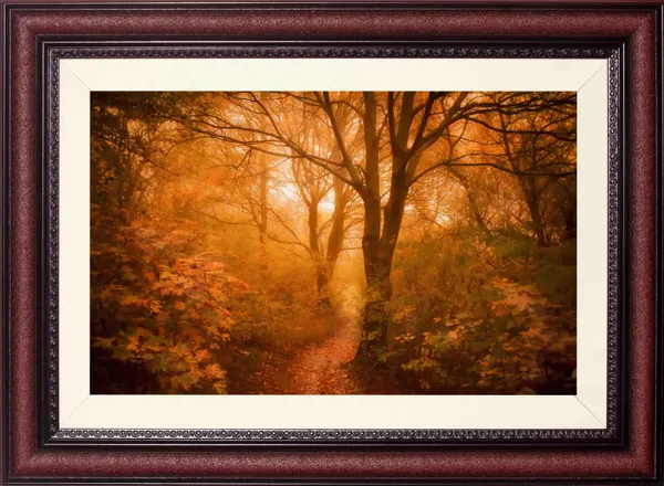 Forest_Wall_Art_Golden_Sunbeam_Landscape_Photo_Frame_Without_Glass