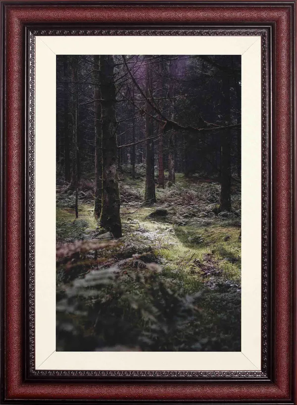 Forest_Wall_Art_Dark_Mystical_Woodland_Landscape_Photo_Frame_Without_Glass