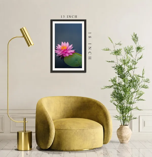 Pink_Water_Lily_on_Deep_Blue_Water_with_Green_Lily_Pad_Photo_Frame_Without_Glass_–_Bright_Pink_Nymphaea_Flower_Wall_Art_for_Bedroom,_Living_Room_&_Gifts