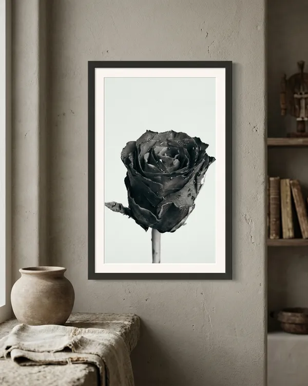 Black_Rose_Dewdrop_Macro_Photo_Frame_Without_Glass_|_Monochrome_Floral_Wall_Art