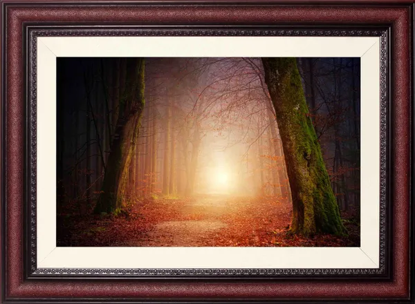 Forest_Wall_Art_Sunlit_Path_Landscape_Photo_Frame_Without_Glass