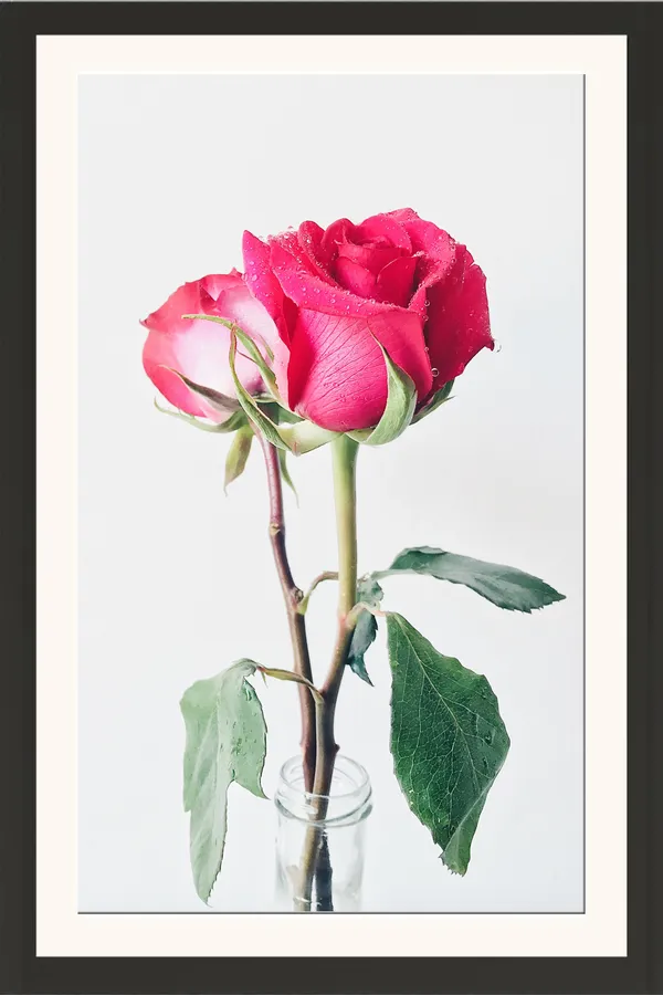 Pink_Red_Rose_Flowers_in_Glass_Vase_Photo_Frame_Without_Glass_–_Elegant_Rose_Pic_on_White_Background_for_Bedroom,_Kitchen_&_Office