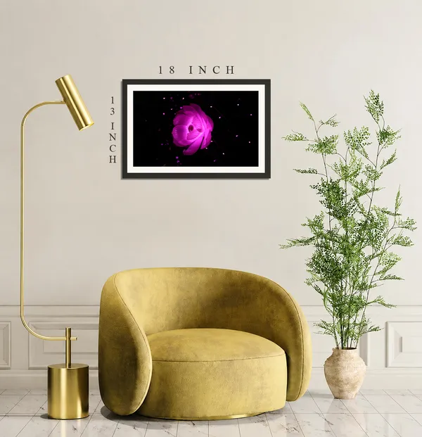 Glowing_Magenta_Lotus_Flower_on_Black_Background_Photo_Frame_Without_Glass_–_Pink_Lotus_Bloom_with_Sparkles_for_Bedroom,_Lounge_&_Gifts