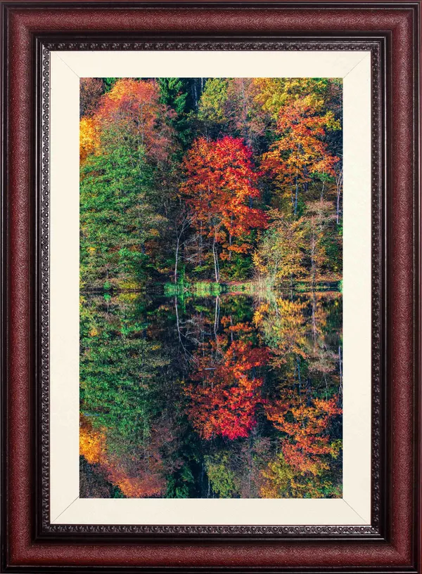 Landscape_Wall_Art_Aerial_Autumn_Canopy_Photo_Frame_Without_Glass