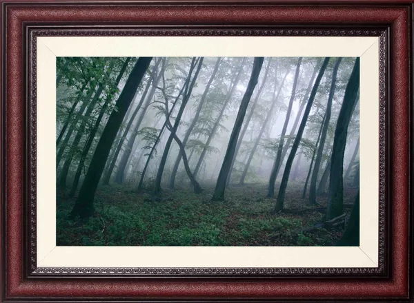 Misty_Forest_Landscape_Wall_Art_Green_Trees_Photo_Frame_Without_Glass