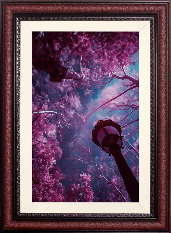 Forest_Wall_Art_Pink_Blossom_Dreamy_Landscape_Photo_Frame_Without_Glass