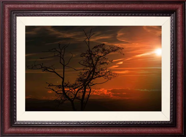 Sunset_Wall_Art_Silhouette_Tree_Landscape_Photo_Frame_Without_Glass