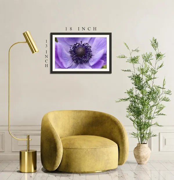 Purple_Anemone_Flower_Close-Up_Photo_Frame_Without_Glass_–_Violet_Anemone_Coronaria_Macro_Wall_Art_for_Bedroom,_Study_&_Living_Room