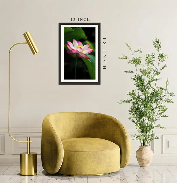 Pink_White_Lotus_Flower_on_Tall_Stem_with_Dark_Leaves_Photo_Frame_Without_Glass_–_Red-Edged_Lotus_Pic_with_Yellow_Centre_for_Living_Room,_Office_&_Gifts