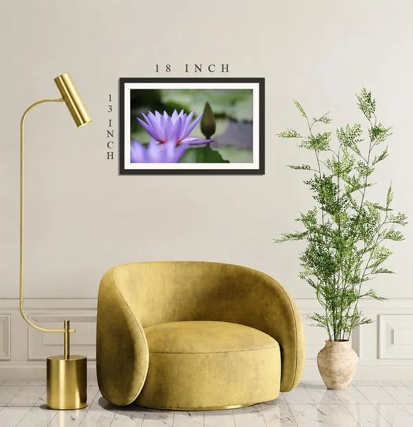 Blue_Purple_Water_Lily_Flower_with_Bud_Wall_Art_Frame_Without_Glass_–_Blue_Water_Lily_Photo_on_Soft_Green_Pond_for_Bedroom,_Spa_&_Living_Room