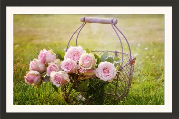 Pink_Roses_in_Wire_Basket_on_Green_Grass_Wall_Art_Frame_Without_Glass_–_Rose_Basket_Garden_Photo_for_Living_Room,_Dining_&_Mother’s_Day_Gifts
