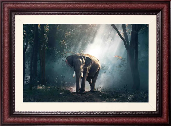 Elephant_Landscape_Wall_Art_Sunbeam_Forest_Photo_Frame_Without_Glass