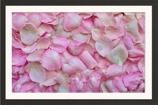 Pink_Rose_Petals_Photo_Frame_Without_Glass_–_Soft_Pink_Rose_Petal_Texture_Wall_Art_for_Bedroom,_Spa_&_Living_Room