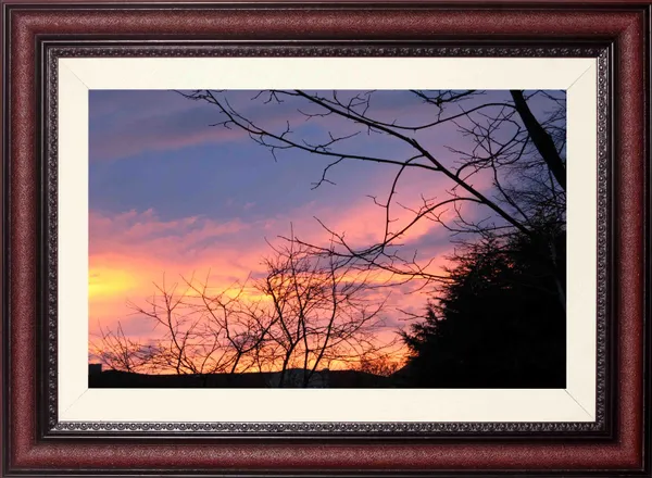 Bare_Branches_Twilight_Landscape_Photo_Frame_Without_Glass_|_Purple_Orange_Sky_Wall_Art