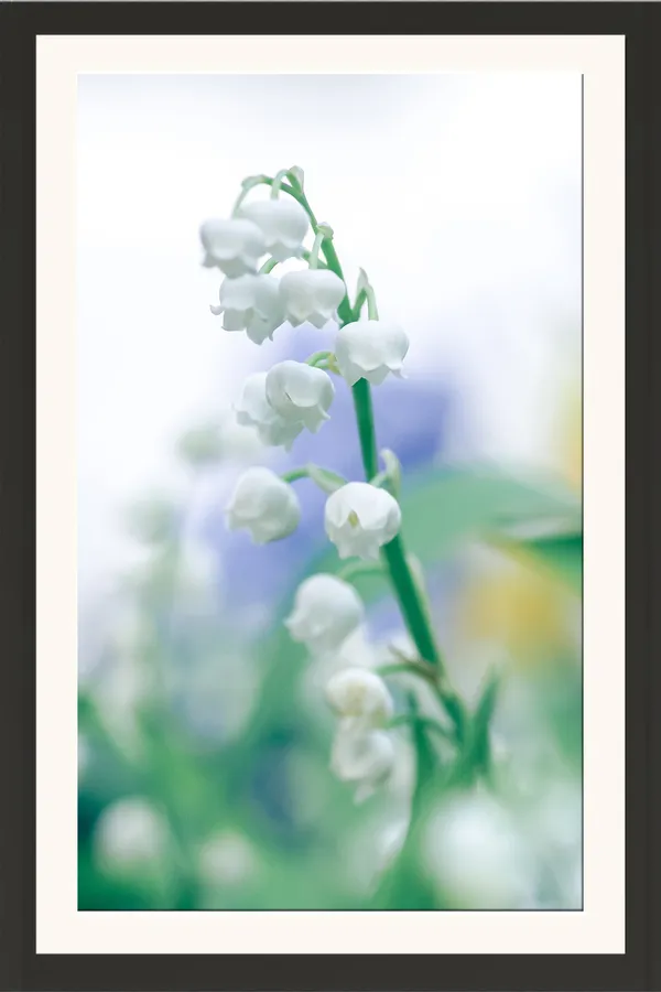 Lily_of_the_Valley_Flowers_in_Soft_Light_Photo_Frame_Without_Glass_–_Airy_White_&_Blue_Pastel_Floral_Wall_Art_for_Nursery,_Bedroom_&_Living_Room