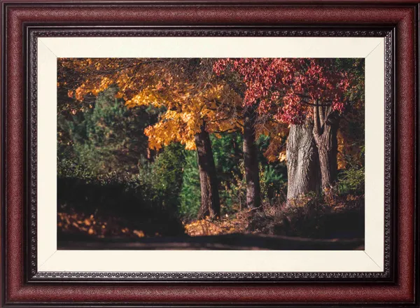Autumn_Wall_Art_Forest_Road_Landscape_Photo_Frame_Without_Glass
