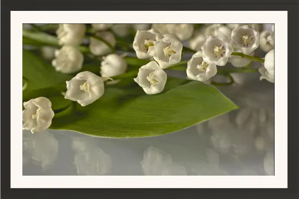 Lily_of_the_Valley_Flower_Close-Up_Photo_Frame_Without_Glass_–_Creamy_White_Bells_with_Reflection_for_Bedroom,_Dressing_Room_&_Living_Room_Decor