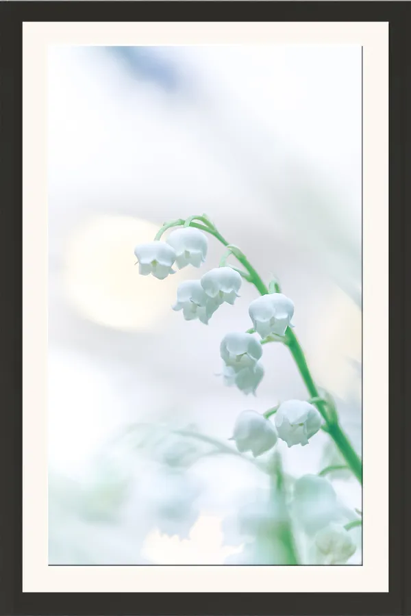Pale_Aqua_Lily_of_the_Valley_Flower_Wall_Art_Frame_Without_Glass_–_Minimal_Pastel_Bell_Flowers_Photo_for_Bedroom,_Spa_&_Living_Room_Decor