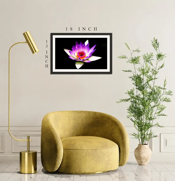 Purple_Violet_Water_Lily_on_Black_Background_Wall_Art_Frame_Without_Glass_–_Glowing_Magenta_Centre_Water_Lily_Photo_for_Bedroom,_Lounge_&_Gifts