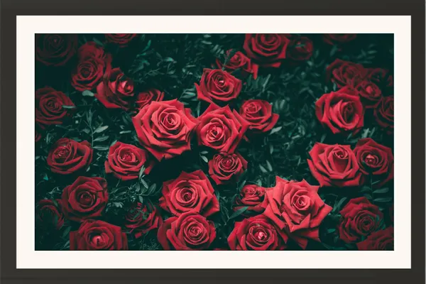 Red_Roses_Garden_Photo_Frame_Without_Glass_–_Many_Red_Rose_Flowers_on_Dark_Green_Leaves_Wall_Art_for_Living_Room,_Bedroom_&_Rose_Day_Gifts
