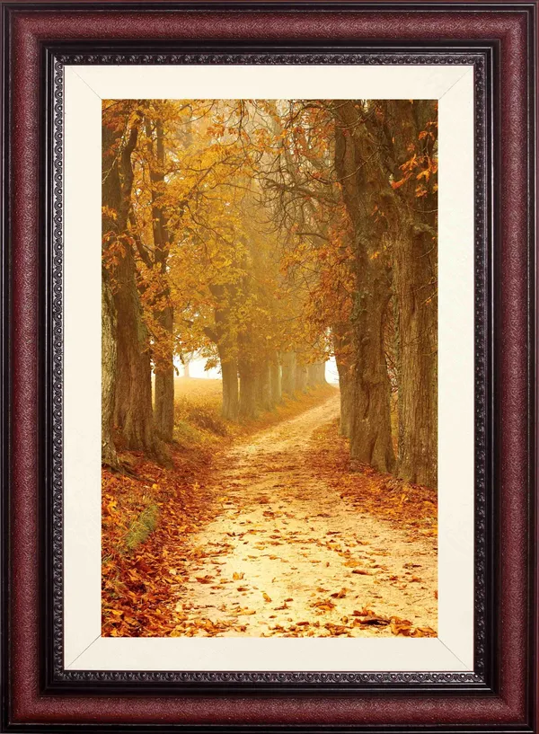 Forest_Wall_Art_Golden_Tree_Tunnel_Landscape_Photo_Frame_Without_Glass