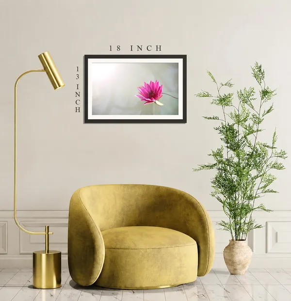 Magenta_Pink_Water_Lily_on_Soft_White_Background_Wall_Art_Frame_Without_Glass_–_Minimal_Bright_Water_Lily_Flower_Photo_for_Bedroom,_Salon_&_Office