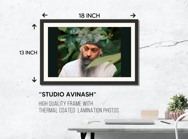 Acharya_Rajneesh_Osho_Deep_Green_Foliage_Photo_Frame_Without_Glass_|_Detail_Set_Deep_in_Green
