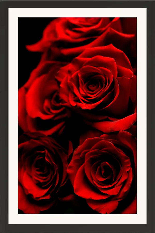 Red_Roses_Bouquet_Close-Up_Wall_Art_Frame_Without_Glass_–_Dark_Red_Rose_Flower_Photo_HD_Pic_for_Living_Room,_Bedroom_&_Rose_Day_Gift