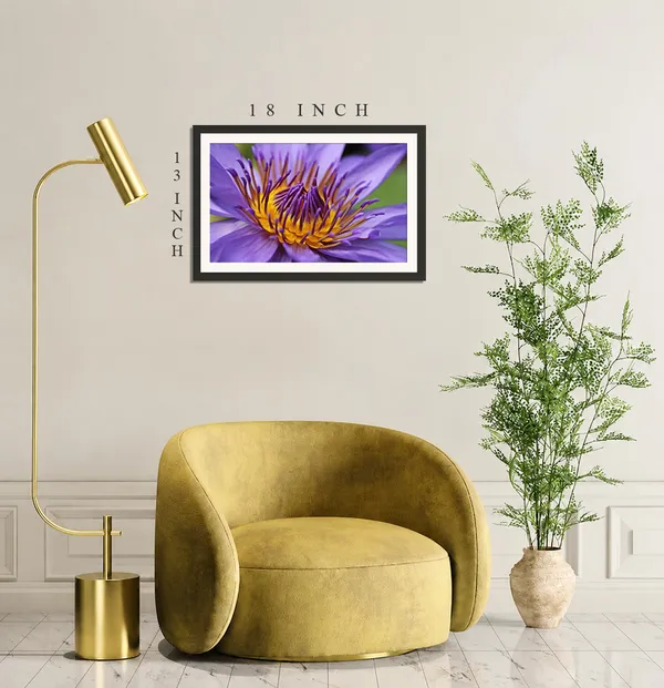Purple_Water_Lily_Macro_with_Golden_Yellow_Stamens_Wall_Art_Frame_Without_Glass_–_Violet_Water_Lily_Close-Up_Photo_for_Bedroom,_Study_&_Living_Room