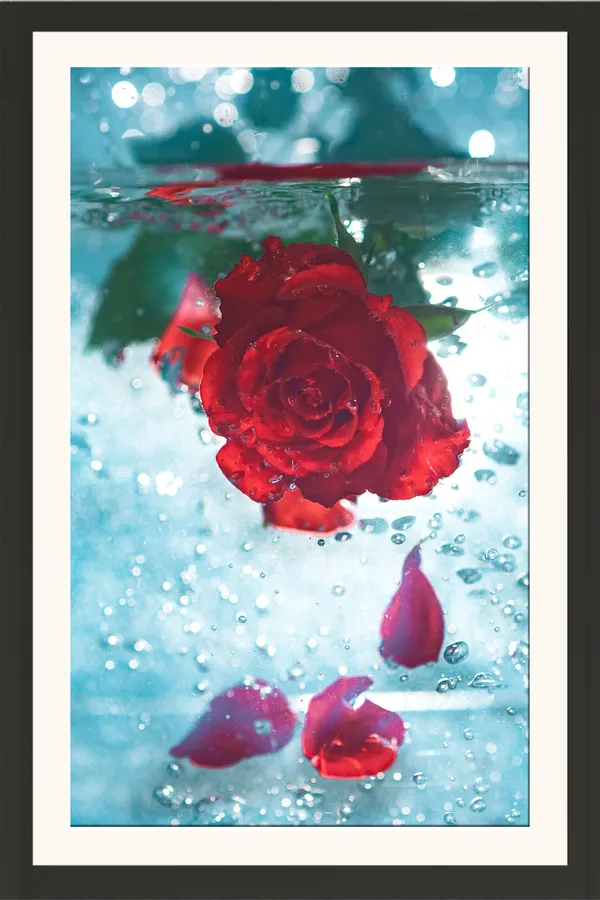 Red_Rose_in_Water_with_Bubbles_&_Petals_Wall_Art_Frame_Without_Glass_–_Artistic_Red_Rose_Photo_for_Living_Room,_Bedroom_&_Romantic_Gifts