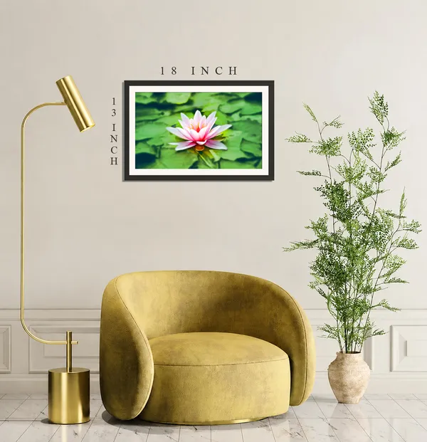 Pink_and_White_Water_Lily_on_Green_Lily_Pads_Photo_Frame_Without_Glass_–_Star-Shaped_Water_Lily_Flower_Wall_Art_for_Living_Room,_Bedroom_&_Hallway