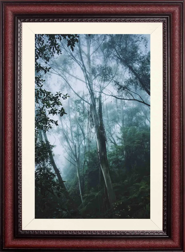 Forest_Wall_Art_Misty_Pine_Landscape_Photo_Frame_Without_Glass