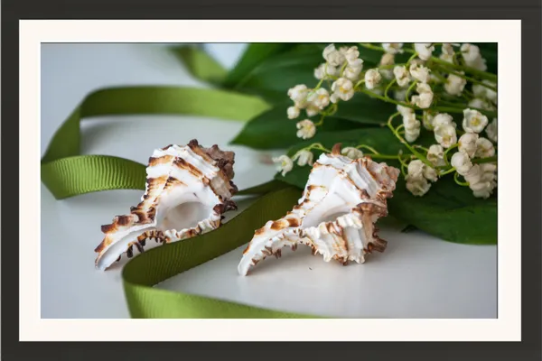 Lily_of_the_Valley_Flowers_with_Seashells_&_Green_Ribbon_Photo_Frame_Without_Glass_–_Coastal_Floral_Wall_Art_for_Bathroom,_Bedroom_&_Living_Room