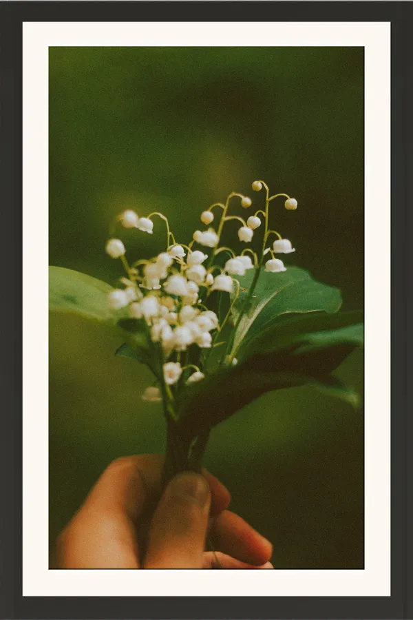 Hand_Holding_Lily_of_the_Valley_Flowers_Photo_Frame_Without_Glass_–_White_Bell_Flower_Bouquet_Wall_Art_for_Bedroom,_Living_Room_&_Gifts