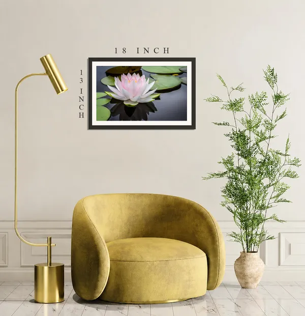 White_Pink_Water_Lily_with_Lily_Pads_on_Pond_Photo_Frame_Without_Glass_–_Hardy_Water_Lily_Flower_Wall_Art_for_Living_Room,_Dining_&_Hallway