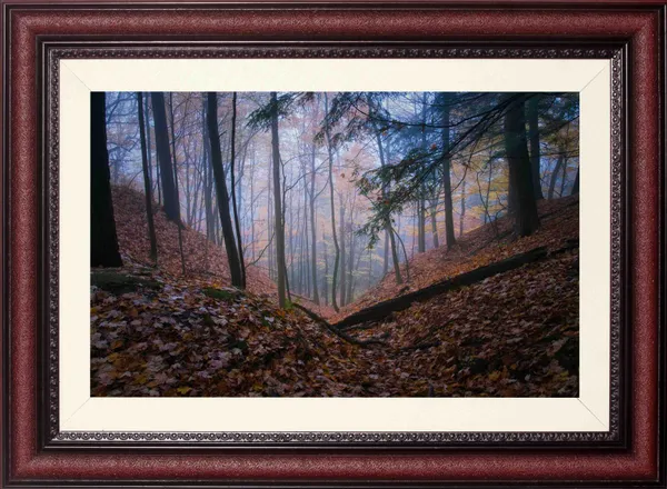 Forest_Wall_Art_Foggy_Fallen_Leaves_Landscape_Photo_Frame_Without_Glass