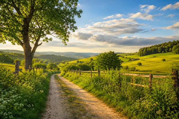 Countryside_Path_Rustic_Landscape_Framed_Canvas_Wall_Art_|_Premium_Hd_Print