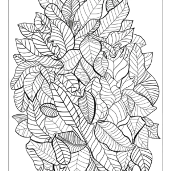 Relaxation_Mandala_Art_Theme_5,_50_Unique_Mandala_Designs_For_Mindful_Coloring_Relaxation_Creativity