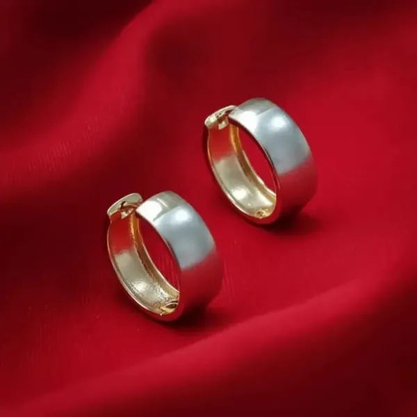Silver_Gold_Two-Tone_Hoop_Earrings_For_Women