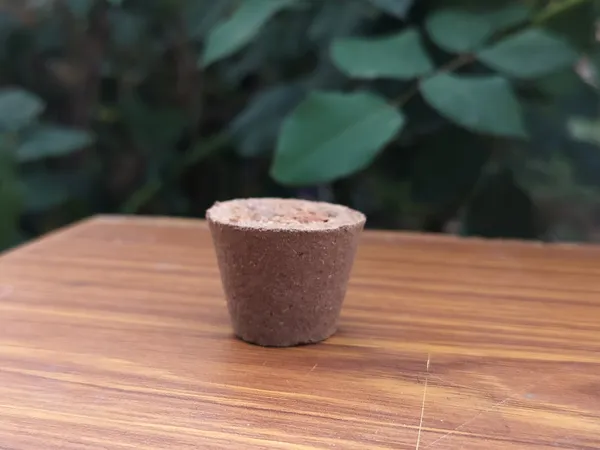 Pack_of_3_Panchgavya_Guggal_Sambrani_Cup