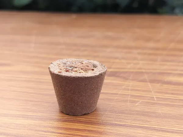 Pack_of_3_Panchgavya_Guggal_Sambrani_Cup