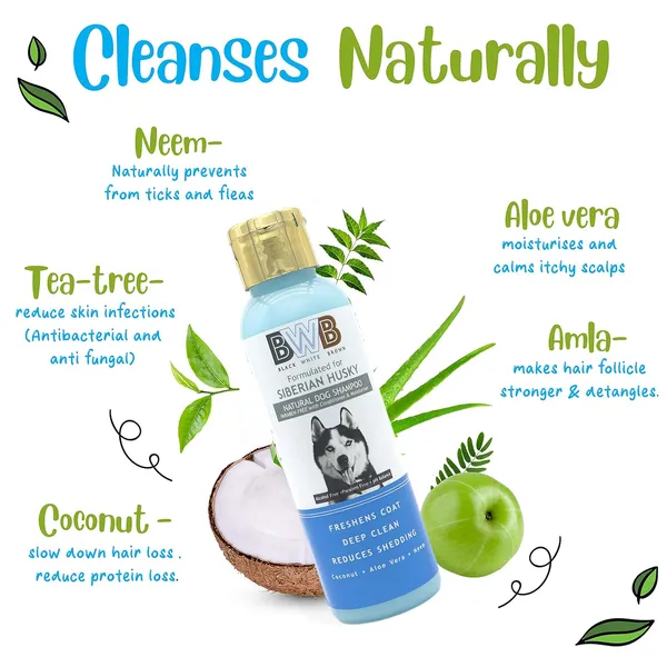 BWB_Natural_Dog_Shampoo_for_Siberian_Husky_.PARABEN_Free+Alcohol_Free+pH_Balance_with_Conditioner_&_Moisturiser_and_Added_Alovera,NEEM,Coconut_&_Amla_extracts_(Pack_of_2(120ml_+_120_ml))