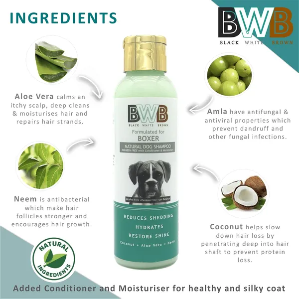 BWB_Natural_Dog_Shampoo_for_Boxer.PARABEN_Free+Alcohol_Free+pH_Balance_with_Conditioner_&_Moisturiser_and_Added_Alovera,NEEM,Coconut_&_Amla_extracts_(Pack_of_2(120ml_+_120ml))