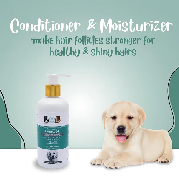 BWB_Natural_Dog_Shampoo_for_Labrador_.PARABEN_Free+Alcohol_Free+pH_Balance_with_Conditioner_&_Moisturiser_and_Added_Alovera,NEEM,Coconut_&_Amla_extracts_(300_ml)