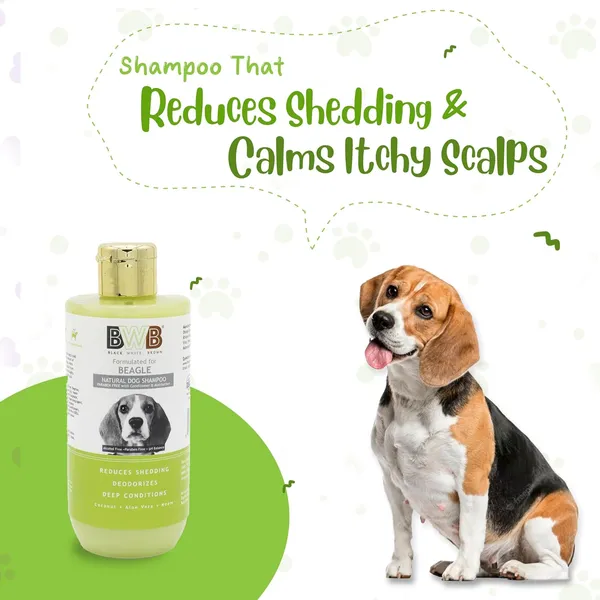 BWB_Natural_Dog_Shampoo_for_Beagle(Combo_Pack_250ml_+_250ml)_.PARABEN_Free+Alcohol_Free+pH_Balance_with_Conditioner_&_Moisturiser_and_Added_Alovera,NEEM,Coconut_&_Amla_extracts_(500_ML)