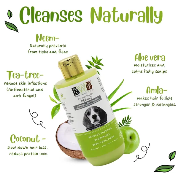 BWB_Natural_Dog_Shampoo_for_Beagle(Combo_Pack_250ml_+_250ml)_.PARABEN_Free+Alcohol_Free+pH_Balance_with_Conditioner_&_Moisturiser_and_Added_Alovera,NEEM,Coconut_&_Amla_extracts_(500_ML)